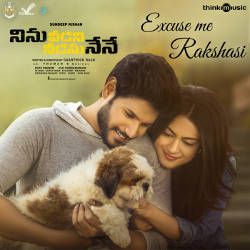 Ninu Veedani Needanu Nene songs Ninu Veedani Needanu Nene songs