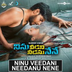 Ninu Veedani Needanu Nene songs Ninu Veedani Needanu Nene songs
