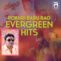 Pokuri Babu Rao Evergreen Hits songs