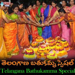 Telangana Bathukamma Special