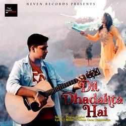 दिल धड़कता है songs दिल धड़कता है songs