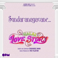 Halal Love Story songs Halal Love Story songs