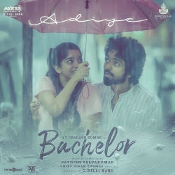 Bachelor songs Bachelor songs