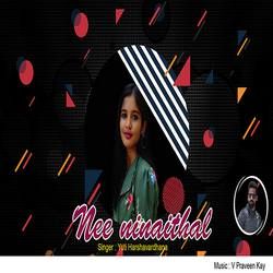 Nee Ninaithal songs Nee Ninaithal songs