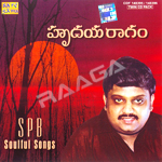 Hrudaya Raagam - SP. Balasubramaniam (Vol 2) songs Hrudaya Raagam - SP. Balasubramaniam (Vol 2) songs