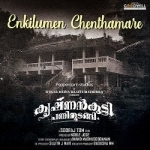 krishnankutty panithudangi