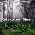 relaxation music forest rain