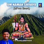 om nama shivaya