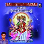 rig veda sandhyaavandanam