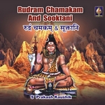 rudram chamakam sukthas