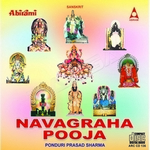 navagraha pooja