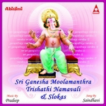 sri ganesha moolamanthra namavali and slokas