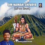 om nama shivaya