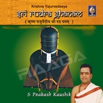 sri rudra ghanam - s. prakash kaushik