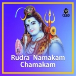 rudra namakam chamakam