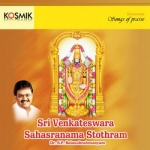 sri venkateswara sahasranama stothram