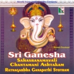 sri ganesha sahasranamavali chintamani ashtakam ratnagarbha ganapathi stotram