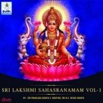 sri adishankaracharya stothras - vol 2