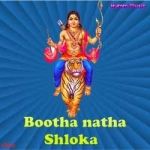 bootha natha shloka