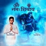 om namah shivay