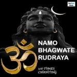 om namo bhagwate rudraya 108 times chantingpowerful lord shiva chanting mantra