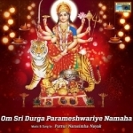 om sri durga parameshwariye namaha