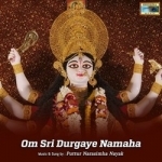 om sri durgaye namaha