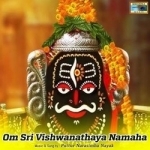 om sri vishwanathaya namaha