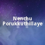 Nenchu Porukkuthillaye songs Nenchu Porukkuthillaye songs