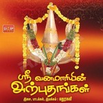 Sri Vana Maariyin Arputhangal songs Sri Vana Maariyin Arputhangal songs
